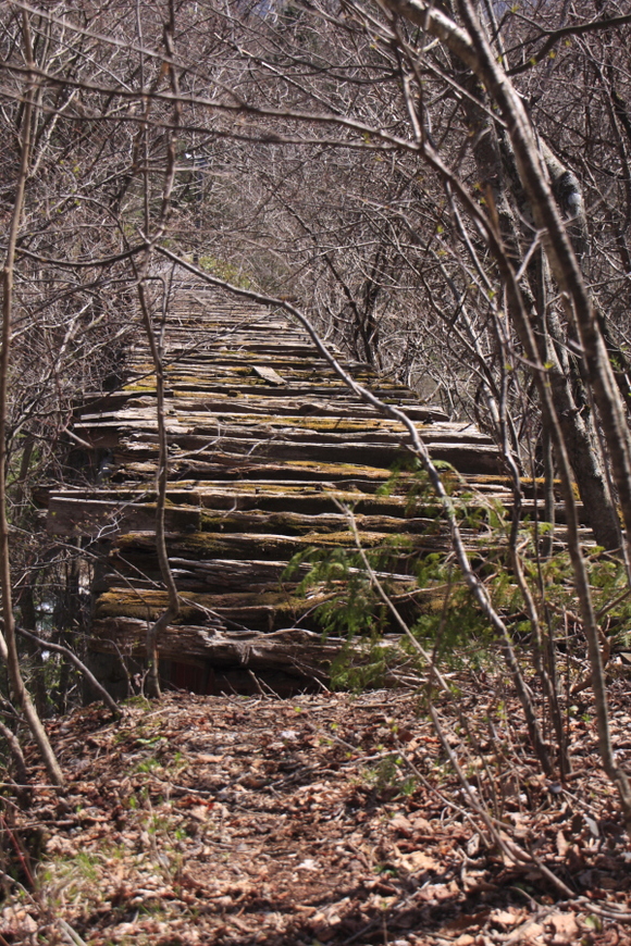 d0247340_17141888.jpg