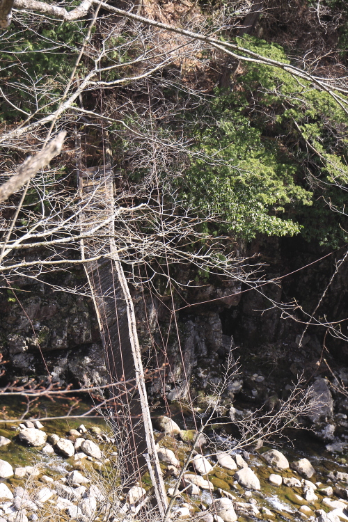 d0247340_17155797.jpg
