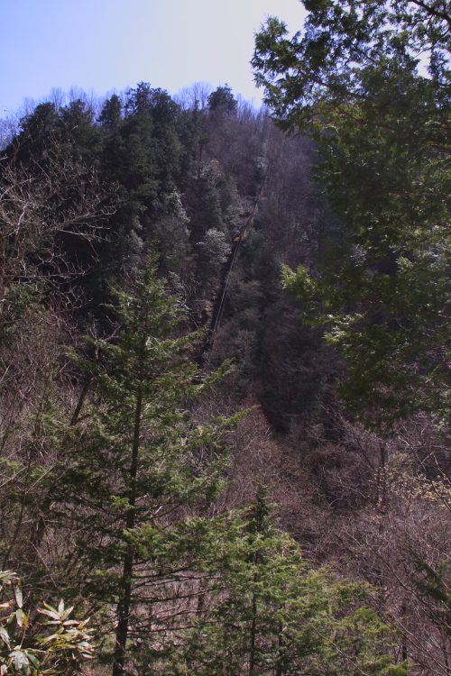 d0247340_1734616.jpg