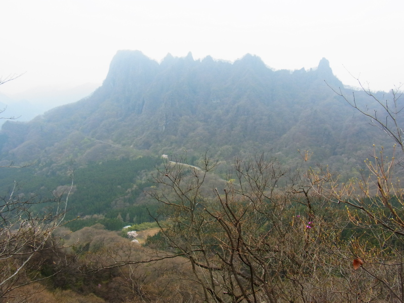 b0190242_21592911.jpg