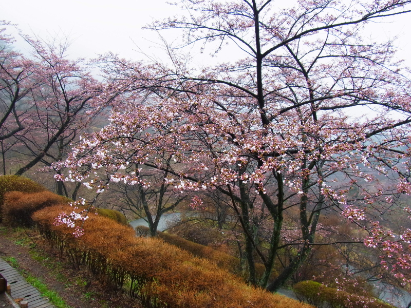 b0190242_2242294.jpg