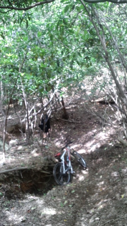 c0059543_108444.jpg