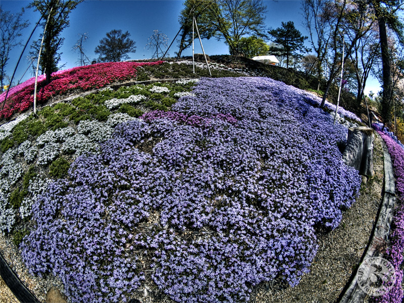 b0135347_18131372.jpg