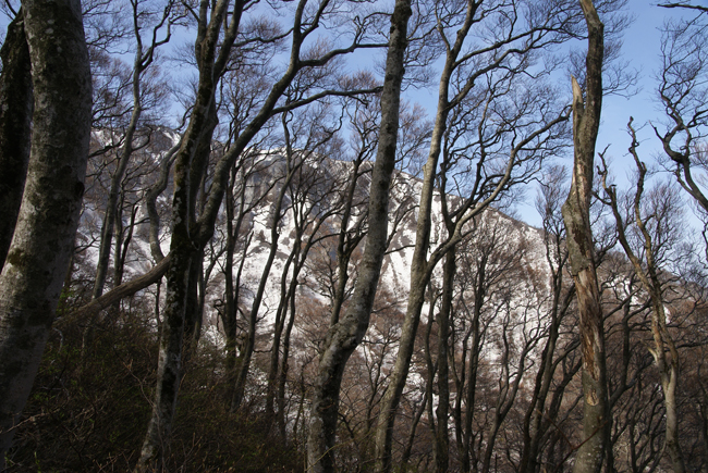 f0214649_2110458.jpg