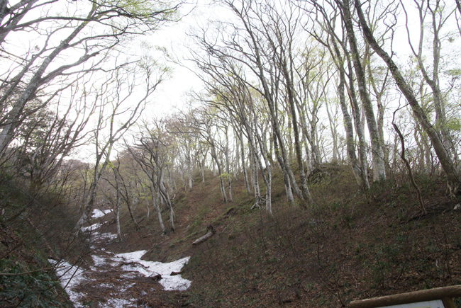 f0214649_2141875.jpg