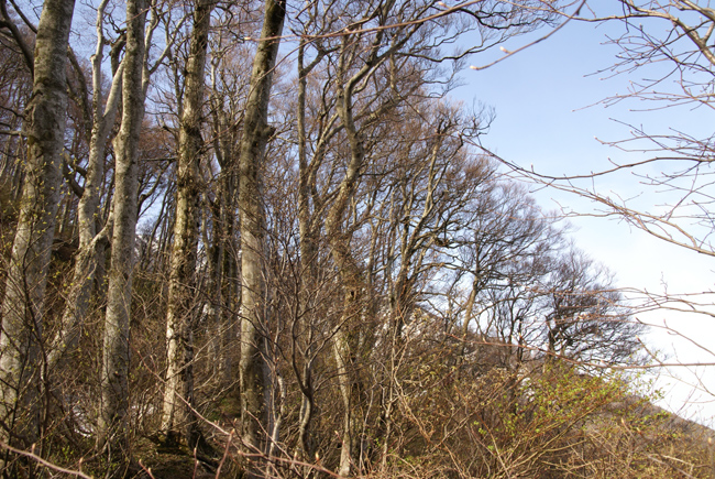 f0214649_218454.jpg