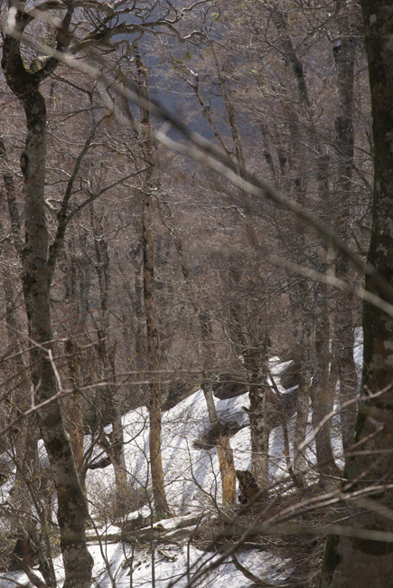 f0214649_2193499.jpg