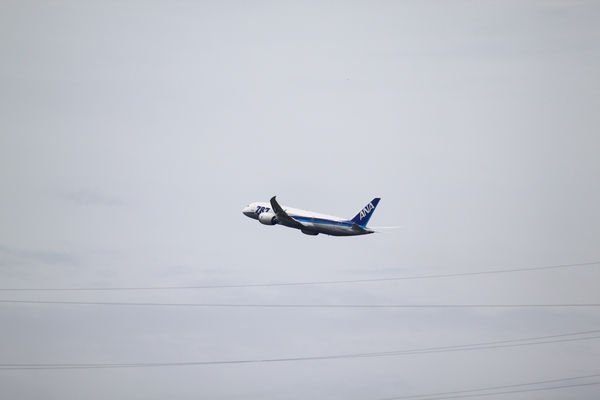a0090451_23355174.jpg