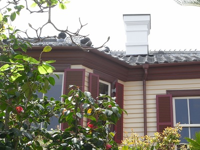 a0251851_1102860.jpg
