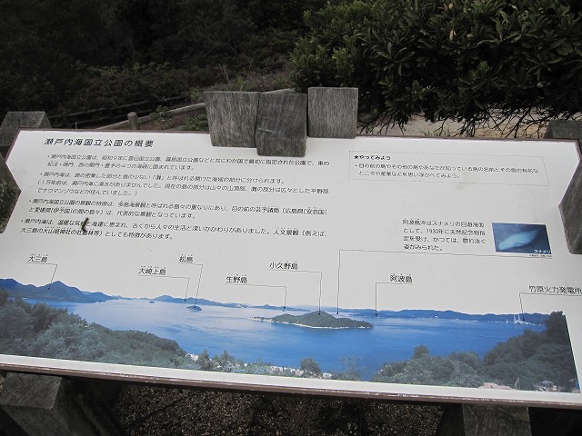 d0031853_16563531.jpg