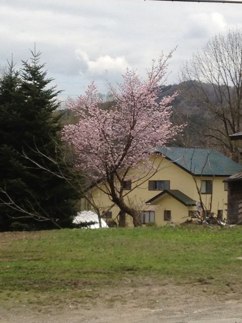 d0102655_11482795.jpg