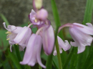 b0246758_2242270.jpg