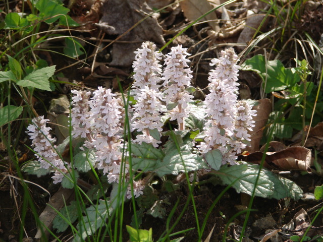 b0061261_2025141.jpg