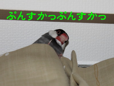 b0158061_204834100.jpg