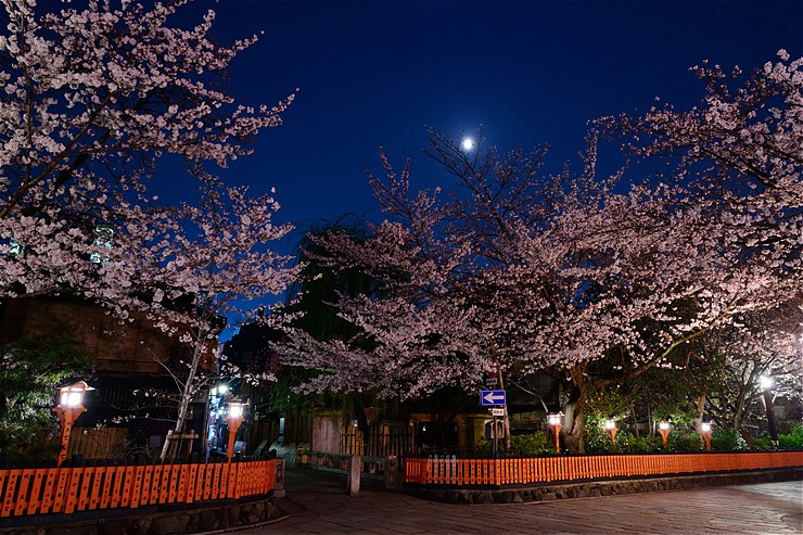 f0222161_13152724.jpg