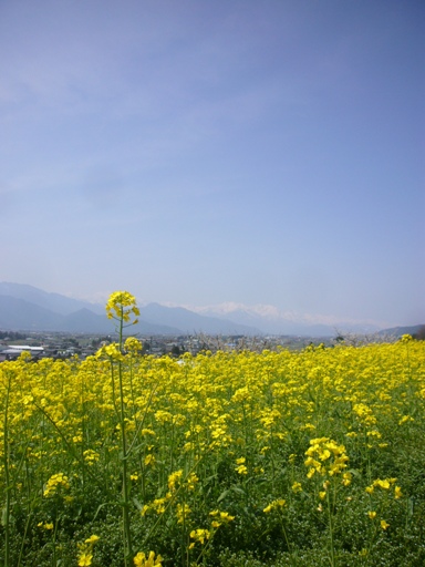 b0218062_17143697.jpg