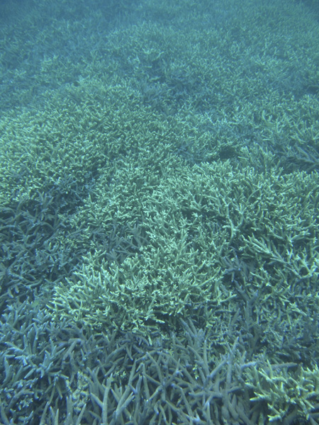 b0062363_19384365.jpg