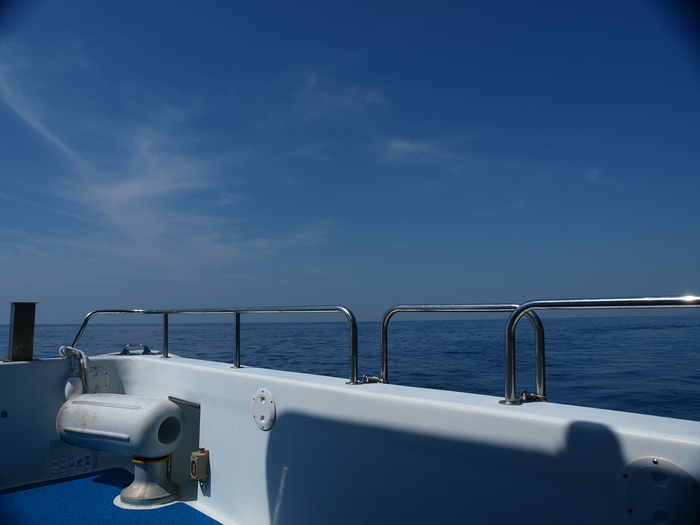 a0260570_10232244.jpg