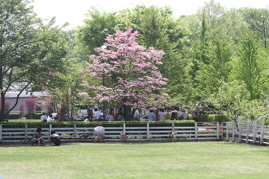 e0062371_2115067.jpg