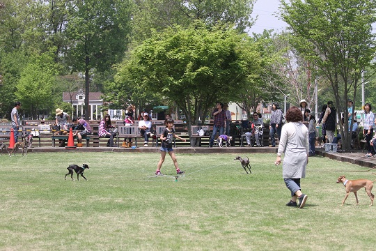 e0062371_2145252.jpg