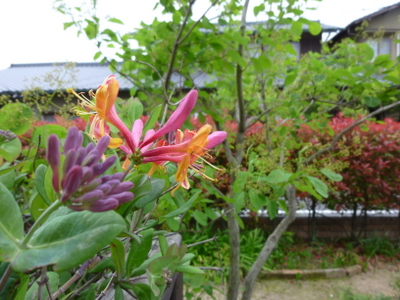 c0216472_203097.jpg