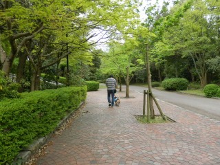f0204072_742244.jpg