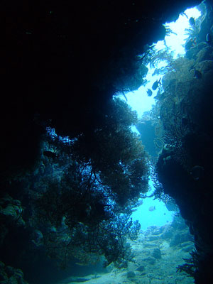 b0033573_13302874.jpg