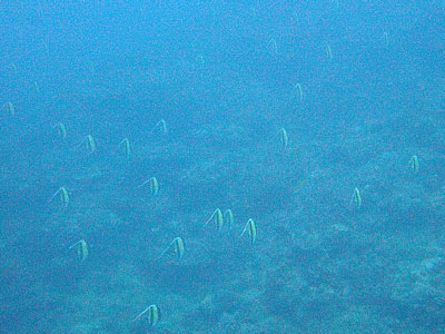 b0033573_13303790.jpg
