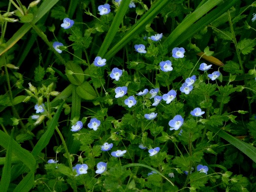 d0084473_20191260.jpg