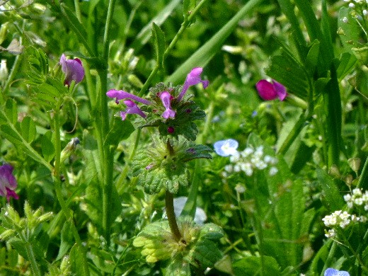 d0084473_20192071.jpg