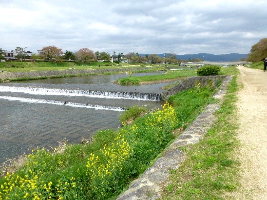 d0084473_20193564.jpg