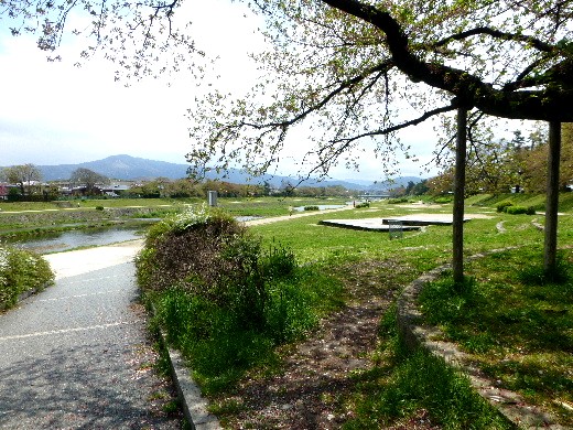 d0084473_20194420.jpg