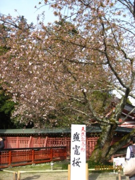 e0050579_18405352.jpg