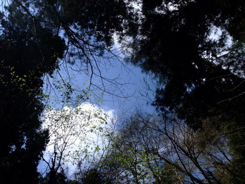 a0043982_1736482.jpg