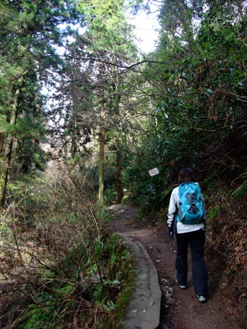 a0043982_174584.jpg