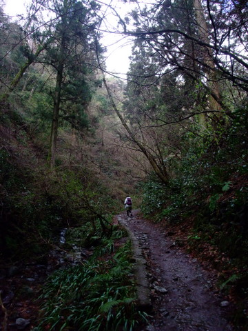 a0043982_175138.jpg