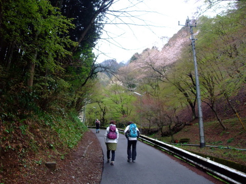 a0043982_1753863.jpg