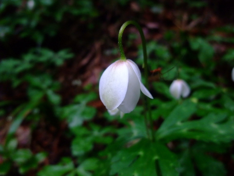 a0043982_175458.jpg