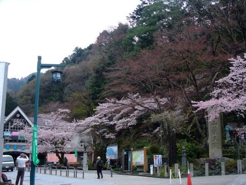 a0043982_176229.jpg
