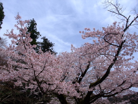 a0043982_19461412.jpg