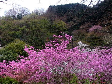 a0043982_19462253.jpg