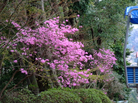 a0043982_19463192.jpg