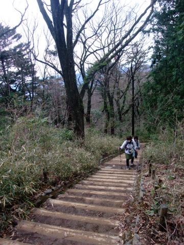 a0043982_19472576.jpg