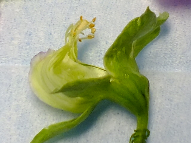 e0145782_9511074.jpg