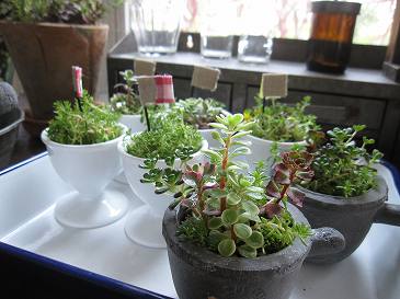 c0146487_1671649.jpg
