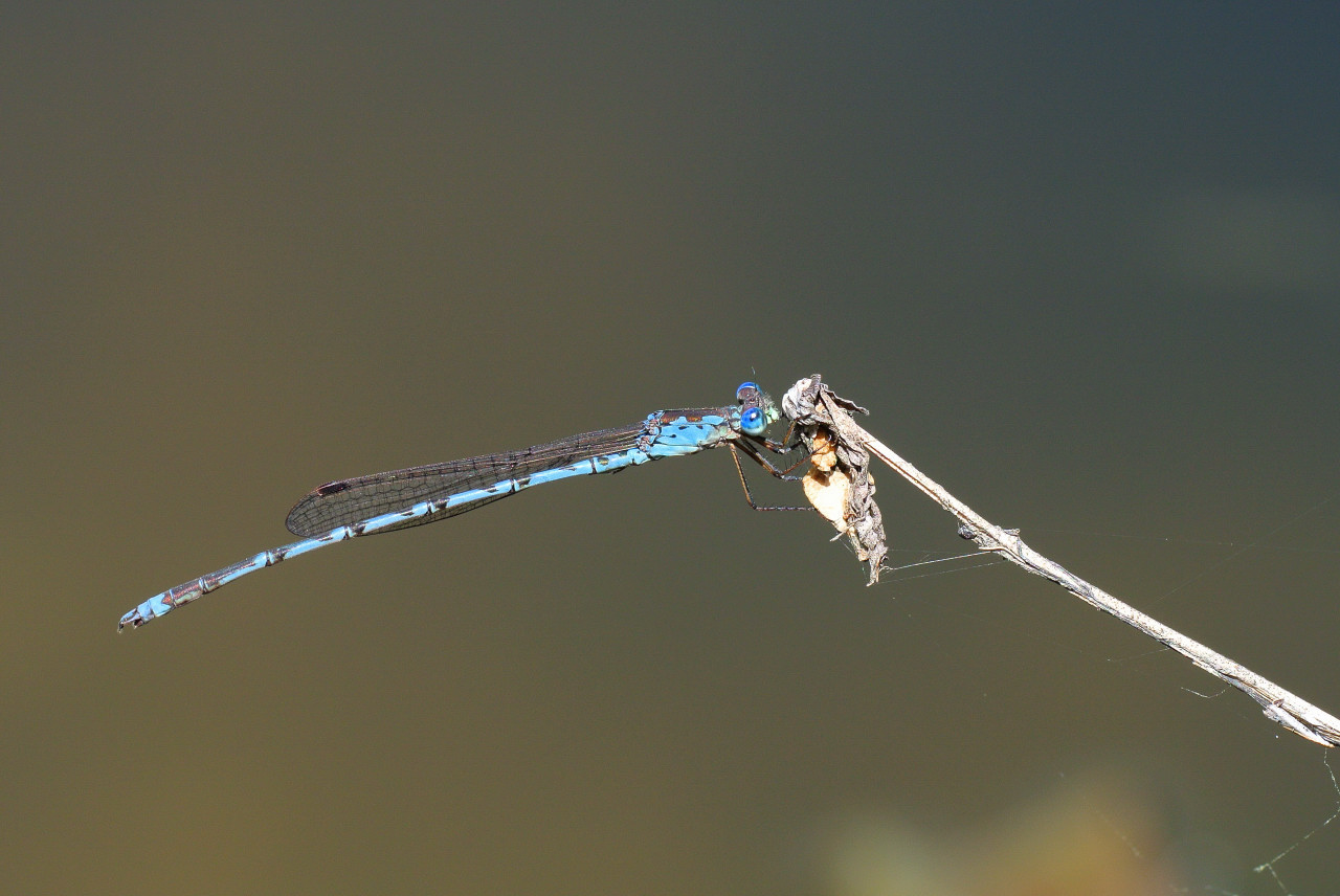 d0251387_62539.jpg