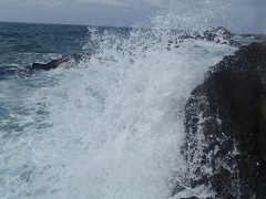 f0069890_2273997.jpg