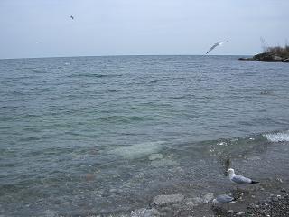 f0188990_1072479.jpg