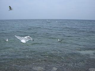 f0188990_1073710.jpg