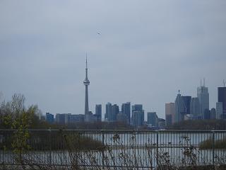 f0188990_9594735.jpg